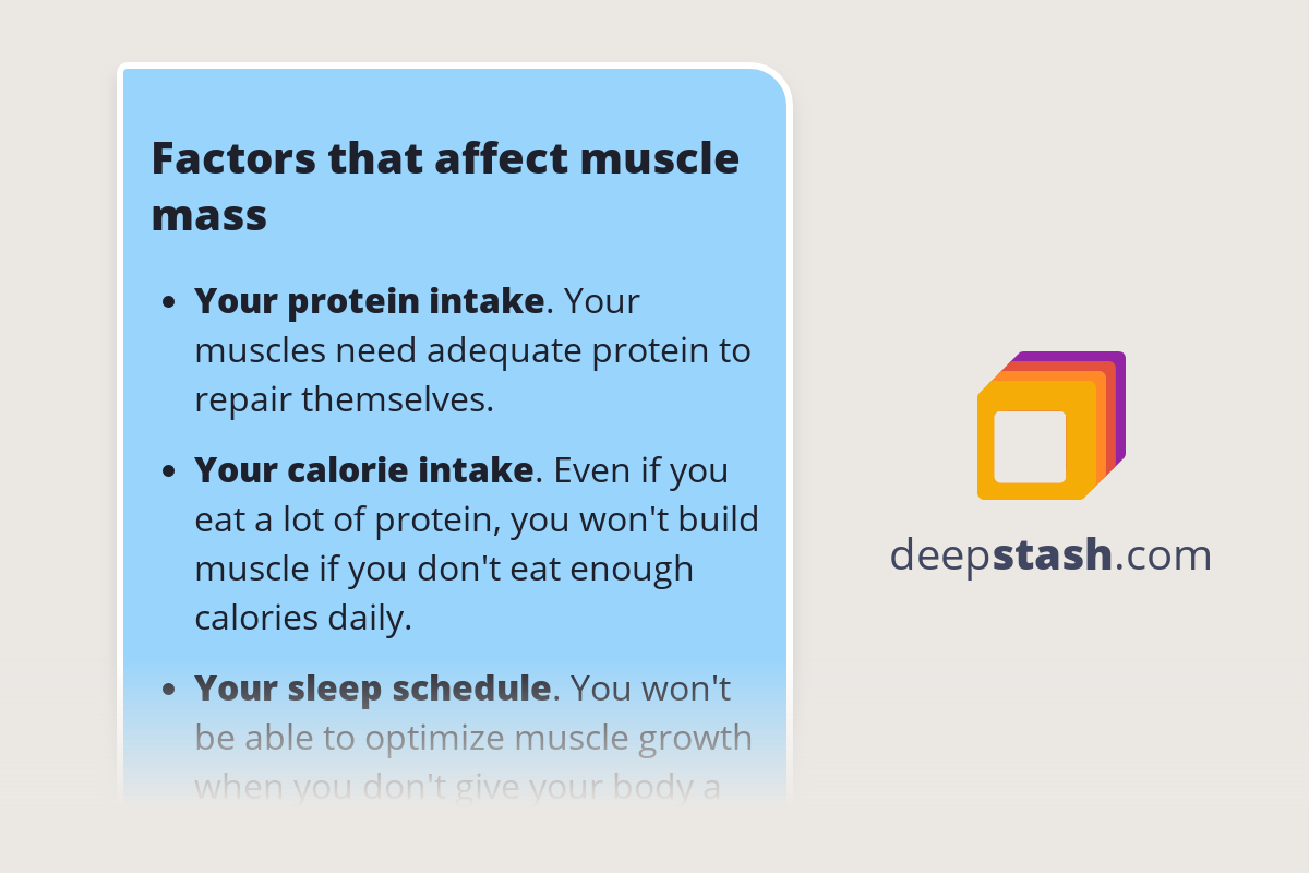 Factors That Affect Muscle Mass Deepstash